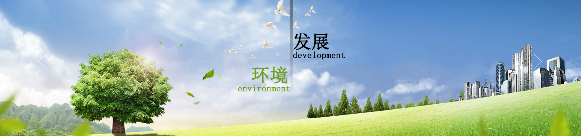 2025新澳门免费原料宝典